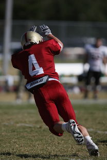 爱游戏体育入口-全国青少年跳水锦标赛在深圳火热进行，全国青少年跳水比赛